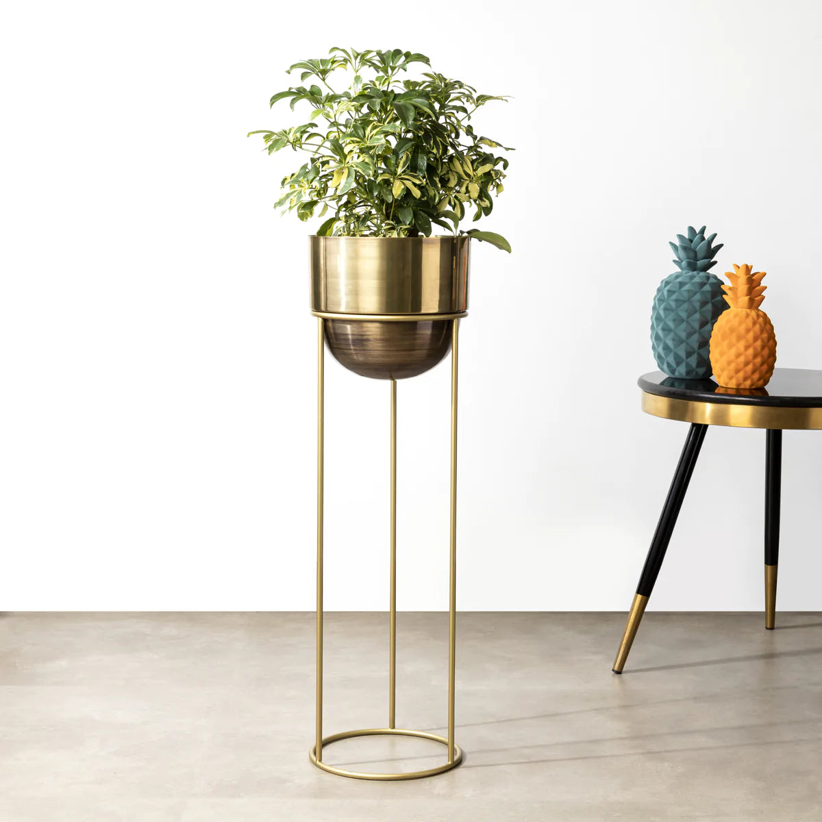 Vases vs Planters: 10 Differences that You Need to Know! – Dekor Company