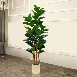 Elegant Green Fiddle Leaf Fig Artificial plant - 59 Inches (N)