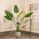 Evergreen Paradise Banana Plant Artificial plant - (6 Feet)