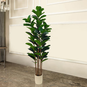 Elegant Green Fiddle Leaf Fig Artificial plant - 70 Inches (N)