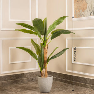 Classic Green Banana Plant Artificial plant - (4.6 Feet)