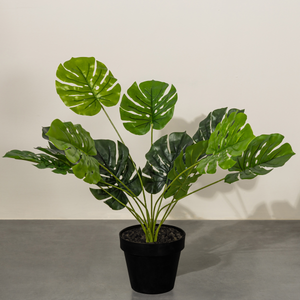 Ever Green Elegance Monstera Artificial Plant - 16 inches