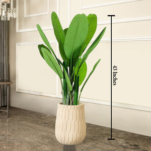 Classic Green Banana Plant Artificial plant - Big (N)