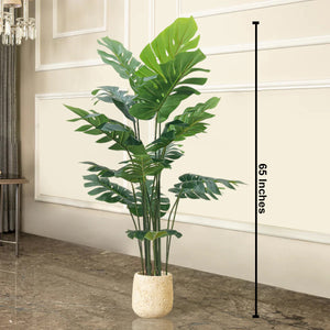 Jungle Retreat Monstera Artificial plant - Big (5.5 Feet)