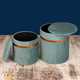 Luxe Lounge Storage Ottoman - Set of 2 (Greenish-Blue)