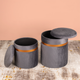 Luxe Lounge Storage Ottoman - Set of 2 (Grey)