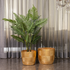 Striped Harmony Planter - Set Of 2