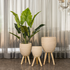 Botanical Elegance Planter - Set Of 3