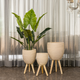 Botanical Elegance Planter  - Set Of 3