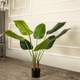 Vibrant Banana Oasis Artificial plant (Medium)