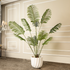 Verdant Elegance Palm Artificial Plant (5 Feet)