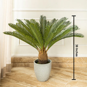 Green Haven Sago Palm Artificial Plant ( 3 Feet )