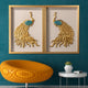 Royal Golden Peacock Shadow Box for Wall Decoration - Set of 2