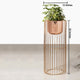 Botanic Couture Planters - Big - Rose Gold