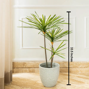 Urban Jungle Dracaena Marginata Artificial Plant (2.7 Feet)