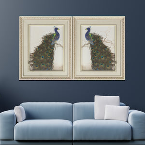 Peacock Symphony Wall Decoration Shadow Box - Set of 2