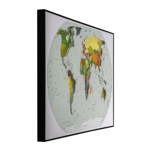 Global Explorer World Map Shadow box