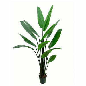 Evergreen Paradise Banana Plant Artificial plant - Big (N)