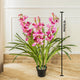 Timeless Bloom Cymbidium Orchid Artificial Plant -  Pink (3.5 Feet)