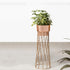 Zen Botanics Planters - Small - Rose Gold