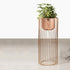 Botanic Couture Planters - Big - Rose Gold