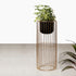 Botanic Couture Planters - Big - Black