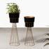 Avant-Garden Planters Set of 2 - Black