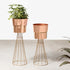 Avant-Garden Planters Set of 2 - Rose Gold