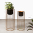 Botanic Couture Planters Set of 2 - Black