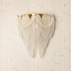 Pearl Adorned Feather Wall Light For Living Room