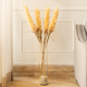 Golden Glow Pampas Grass Artificial Stem (Single Stem Only)