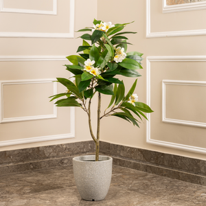 Fragrant Bloom Plumeria Artificial plant (4 Feet)