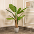 Classic Green Banana Plant Artificial plant - (5.6 Feet)