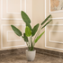 Evergreen Paradise Banana Plant Artificial plant - (5 Feet)