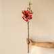 Timeless Beauty Lotus Magnolia Artificial Flower - Red (Single Stem Only)