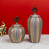 Opulent Oasis Decorative Vase and Showpiece - Set Of 2