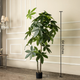 Faux Money Tree artificial Plant (Big)