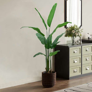 Evergreen Paradise Banana Plant Artificial plant - Small (N)