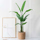 Evergreen Paradise Banana Plant Artificial plant - Small (N)