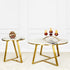 The Four Legged Gold Accent Coffee Table  & The Three Legged Gold Accent Side Table - Pair (Panda Stone) (STAINLESS STEEL)