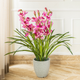 Timeless Bloom Cymbidium Orchid Artificial Plant -  Pink (3.5 Feet)