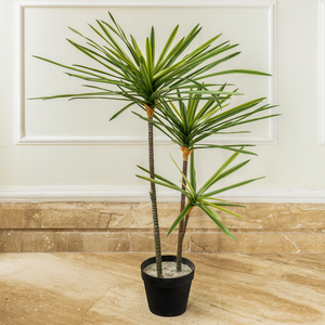 Urban Jungle Dracaena Marginata Artificial Plant (2.7 Feet)