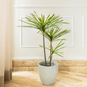 Urban Jungle Dracaena Marginata Artificial Plant (2.7 Feet)