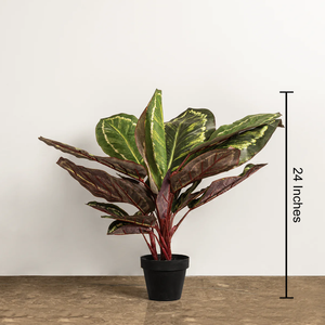 Maranta Bliss Botanical Artificial Plant