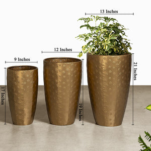 Aurum Eleganza Planters - Set of 3