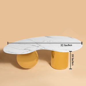 Retro Fusion Centre Table for Living Room (Stainless Steel)