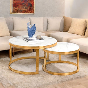 Stellar Circles Coffee Table - Set of 2 (Stainless Steel)