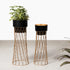 Zen Botanics Planters Set of 2 - Black