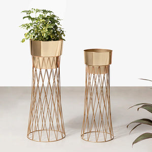 Zen Botanics Planters Set of 2 - Gold