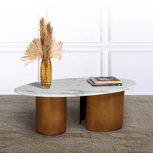 Elysian Essence Centre Table for Living Room (Stainless Steel)